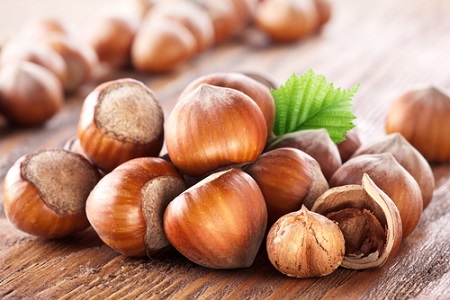 صادرات فندق